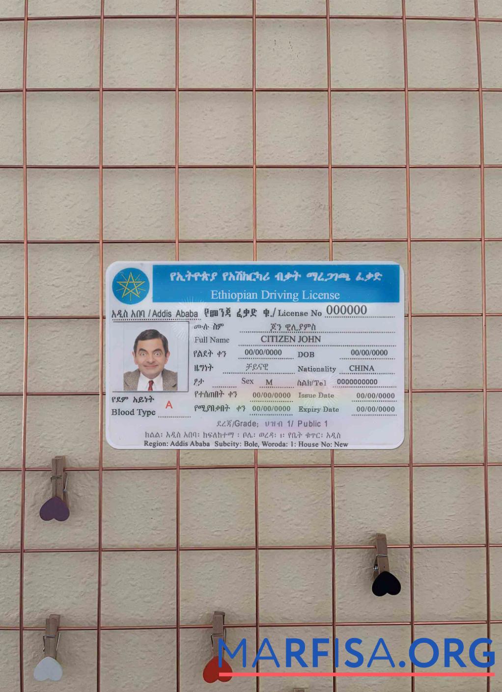 Blank Ethiopia driving license photolook template